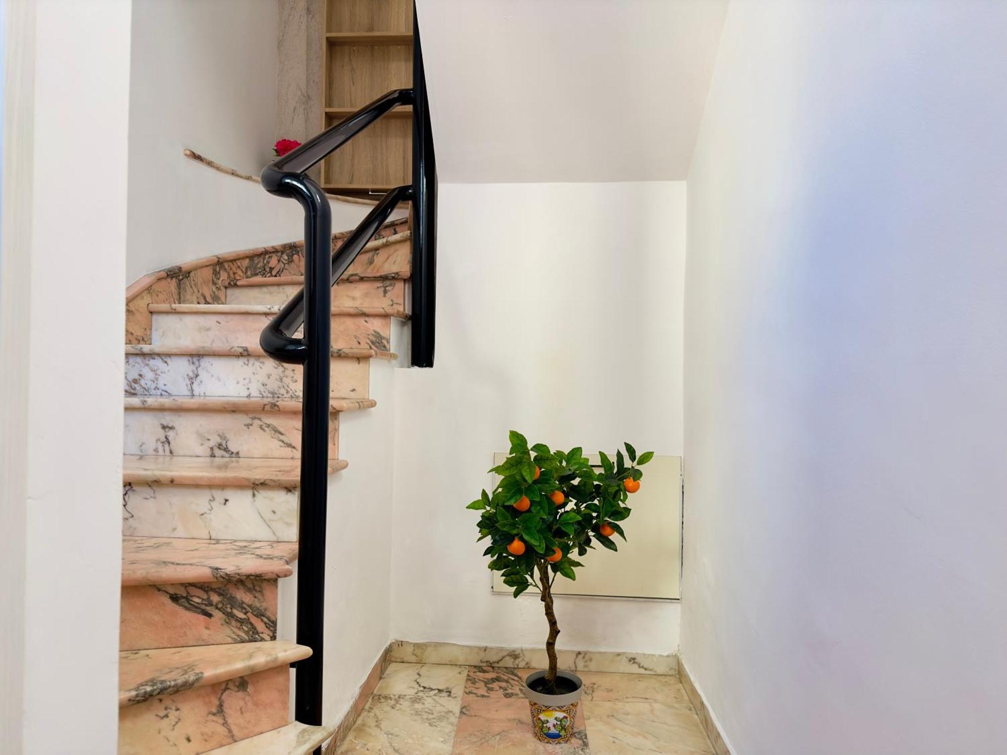 Unique Rooms In Centro Citta Bagno Privato E Climatizzatore راغوزا المظهر الخارجي الصورة